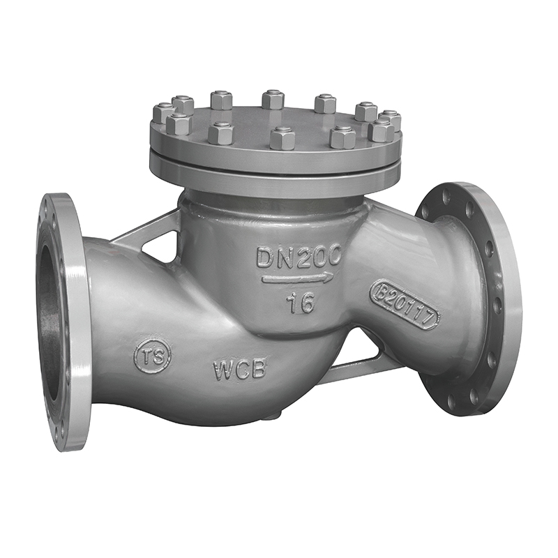 Industrial Check Valve Piston Check Valve