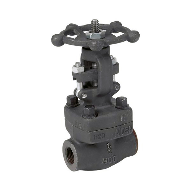 Gate Control Valve American Petroleum Institute 602 Series Gate Valve