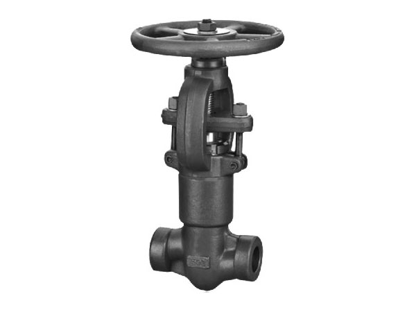 American Petroleum Institute 602 Series Globe Valve Industrial Globe Valve